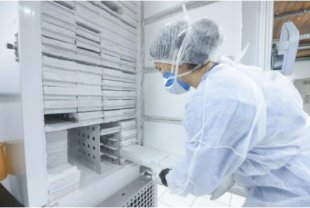 UFRGS disponibiliza ultrafreezers para armazenar vacinas: como as universidades podem estar a serviço do combate à pandemia? 
