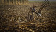 MP tornará automática regularização de latifúndios acelerando devastação pelo agronegócio