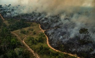 Escândalo: reportagem revela a organização das queimadas criminosas na Amazônia