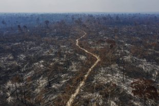 Com Bolsonaro, desmatamento na Amazônia chegou a 10 mil km2 por ano 
